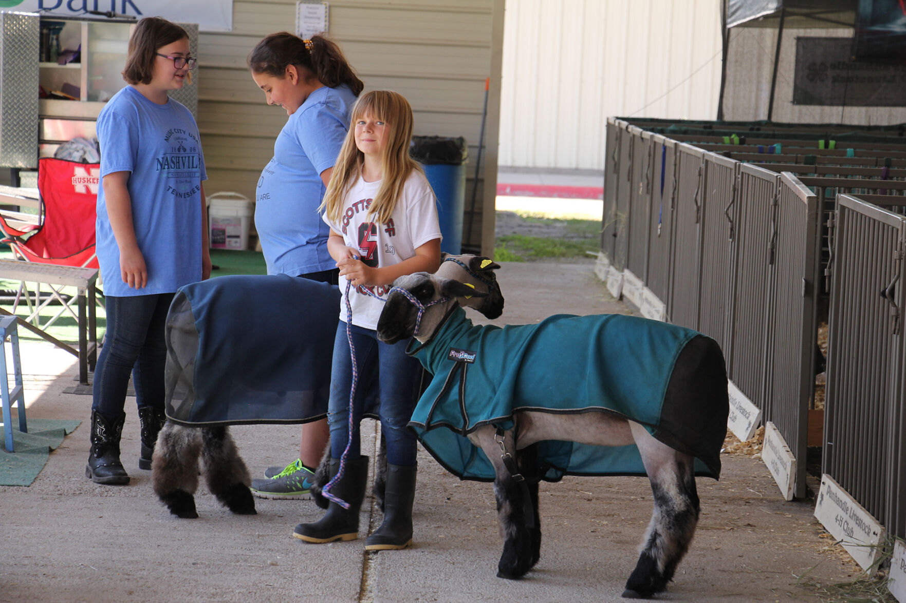 PHOTOS: More from the Scotts Bluff County Fair 2020